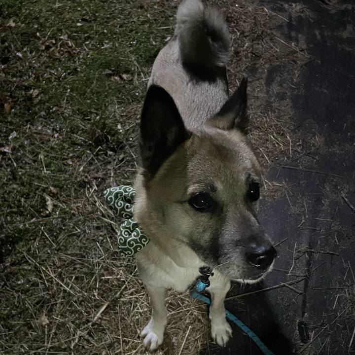 B6d8080e b35c 4c7e 9b61 0235fd062218 1705320786811