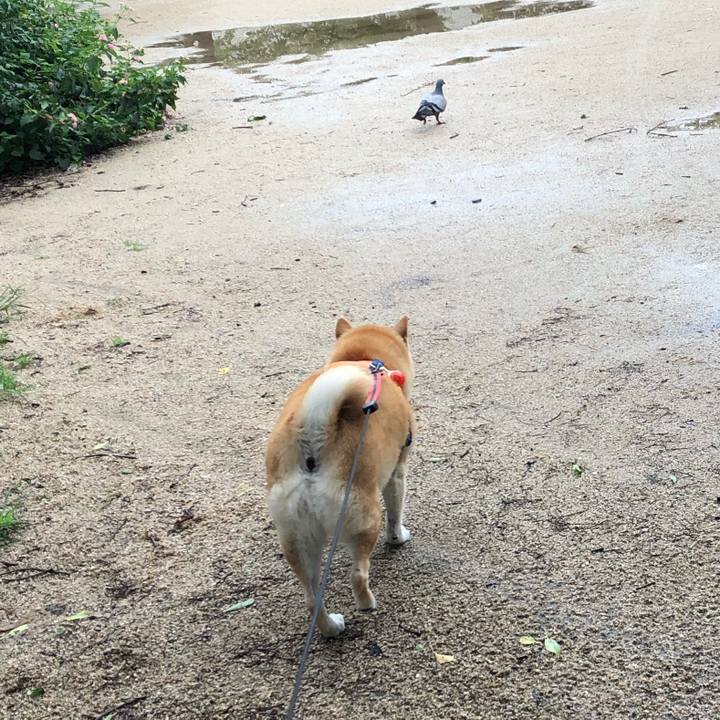 B6d852bd 5029 4da6 98fa 76e980c30e69 1561956819717