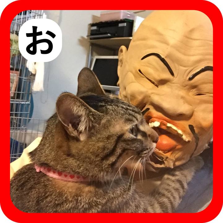 B6d87f53 76f3 4e06 be98 bec7fa6e2cda 1514989159580