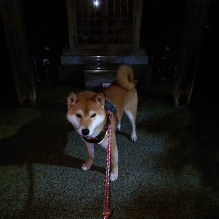 B6d8be1b be36 4ada b320 8ecd2b99726b 1767175910253