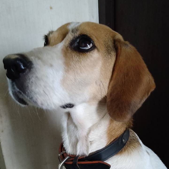 B6d8cad2 c33c 4bc5 be55 cbd2291c185e 1664191705508