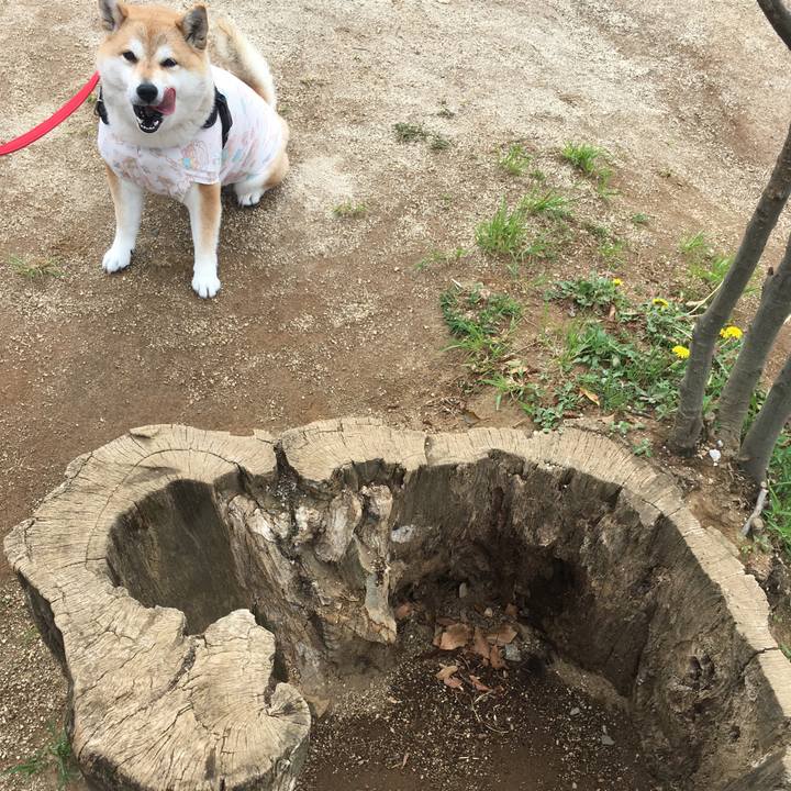 B6d8d76f b91d 46d9 a303 0b7d9514aaf6 1588566479260