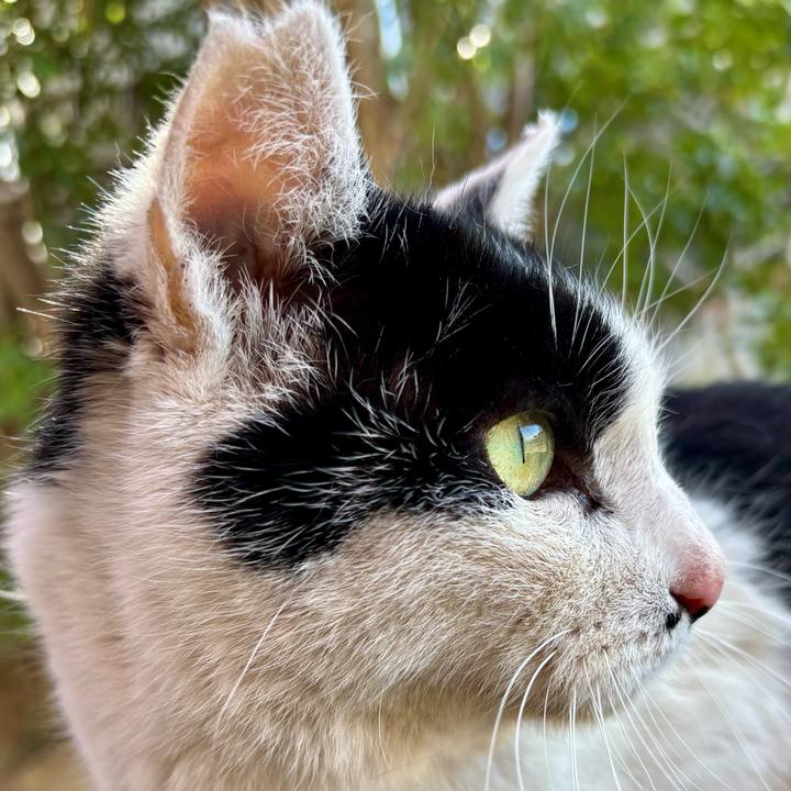 B6d8d812 83f4 4c53 a95d 9a6d521c4aca 1769853362092