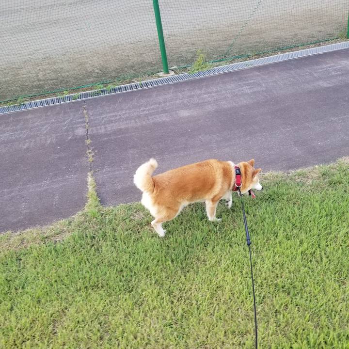 B6d8ed84 15ac 411c a597 0e6097553973 1724657957594