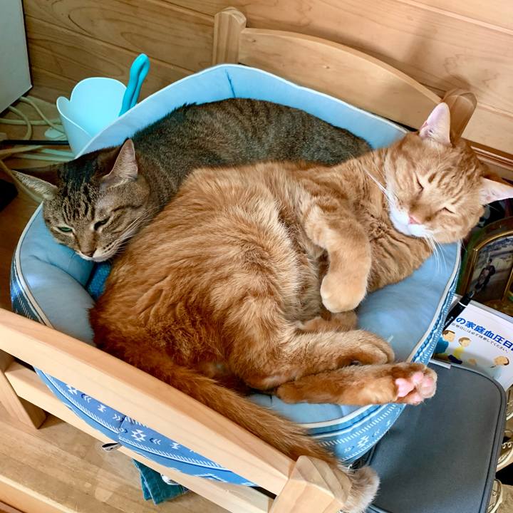 B6d92843 f3af 4d12 8119 d82f74a45d7c 1640139829647