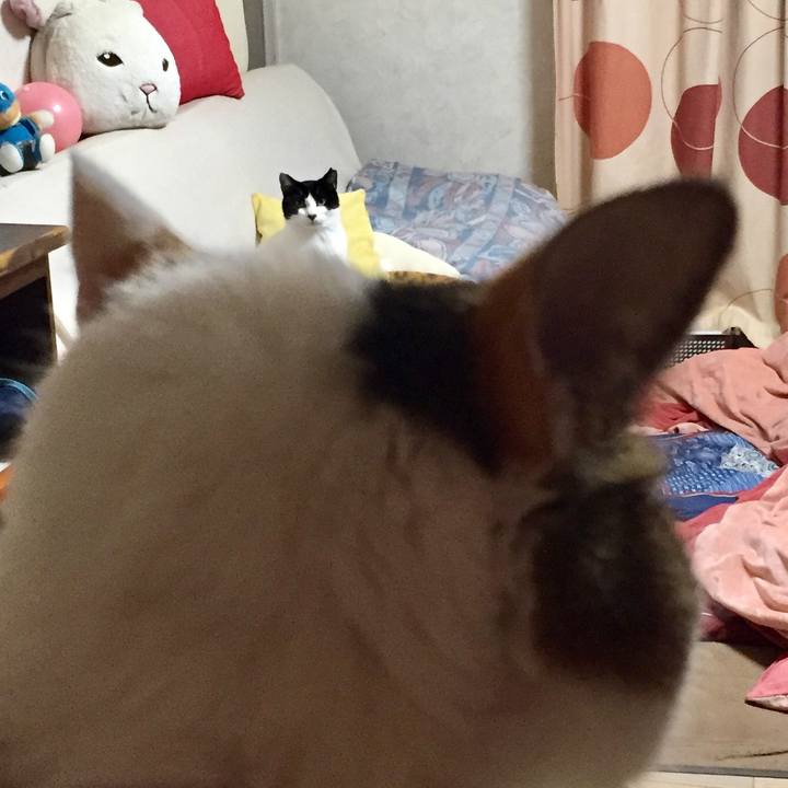 B6d92f07 d256 4495 9b80 2fbc3d7ea58c 1584175465865