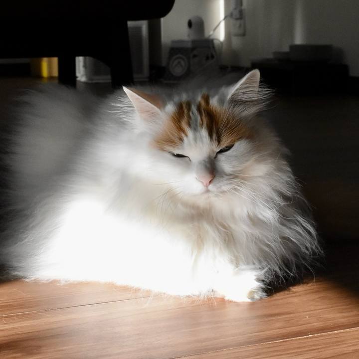 B6d9770f 310c 4c56 8890 5b66fbbf9b38 1775706168496