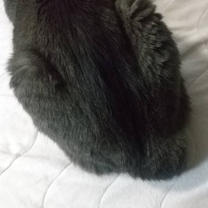 B6d9845e 83bc 4054 9b65 92f529f369a8 1671827875976