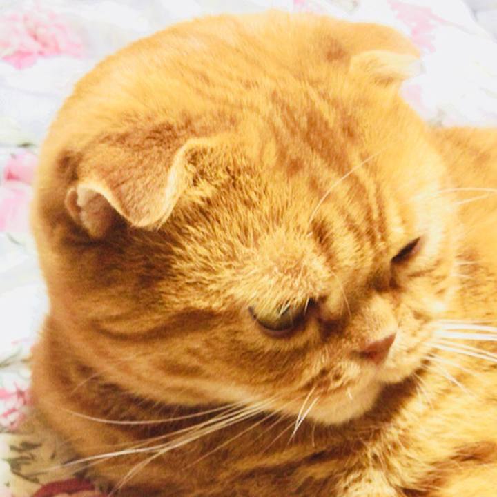 B6d9acae b5fd 4b9e 98c5 fda9468858e2 1523506691464