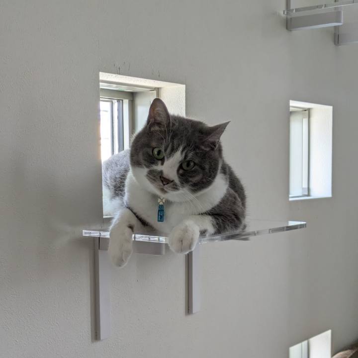 B6d9ae18 c319 4af9 b6ba d61a3f34c2ae 1750136241855