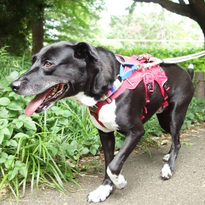 B6d9c2bb 0b97 4aa2 a0c5 958c84ff9e62 1658791110845