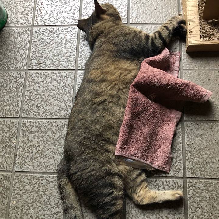 B6d9cf6e a9d7 4bea 92ed 3b26994d8577 1597222115143