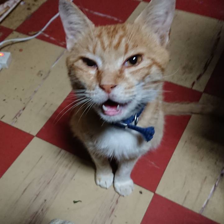 B6da19e1 807c 4158 b2cf d9c5dc31ea93 1559764050138