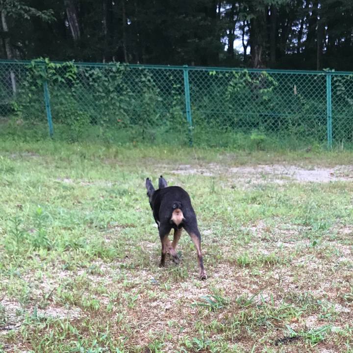 B6da235f 030c 48d5 99a2 e13ff685710d 1566302947723