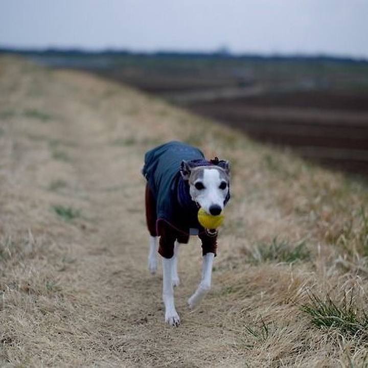 B6da2f7b c178 47a6 be58 6f476c28fb6f 1523524873134