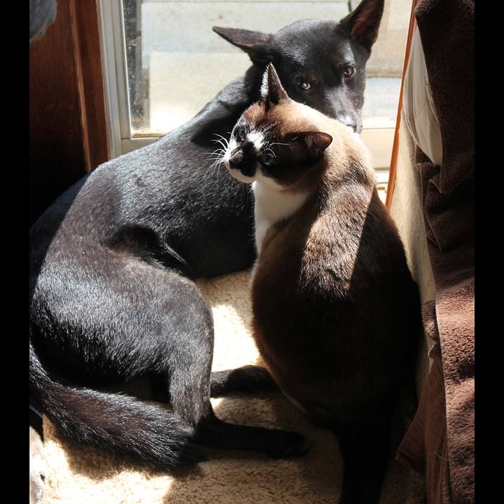 B6da31d2 8aa3 429f 9c5d 70b82b261ef5 1545003527727