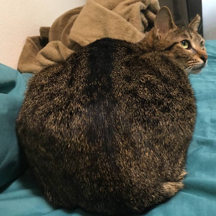 B6da653d 63c1 400e 978c 6dacc68a7219 1521259881048