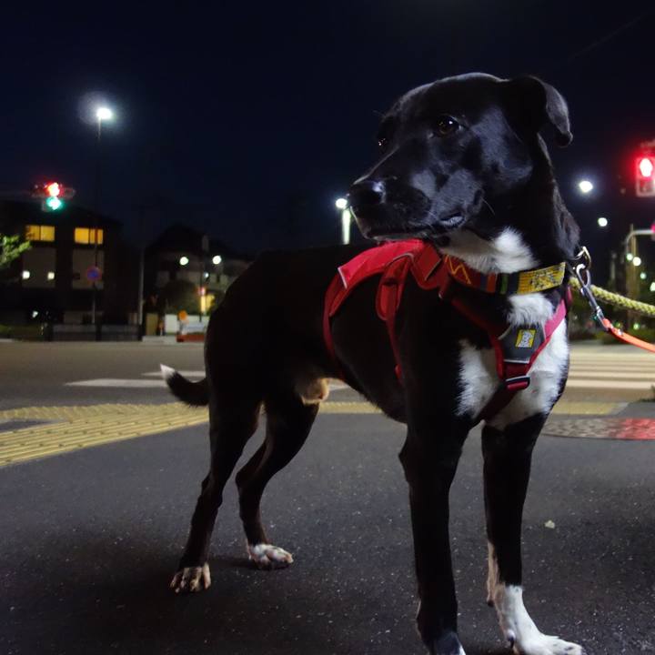 B6da692c d28e 4fda 864e aac59e49145d 1584440844373