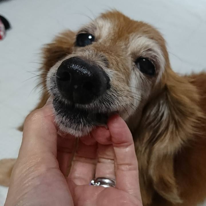 B6da6df2 d0a9 4e95 8090 c3175d02e140 1507349141475