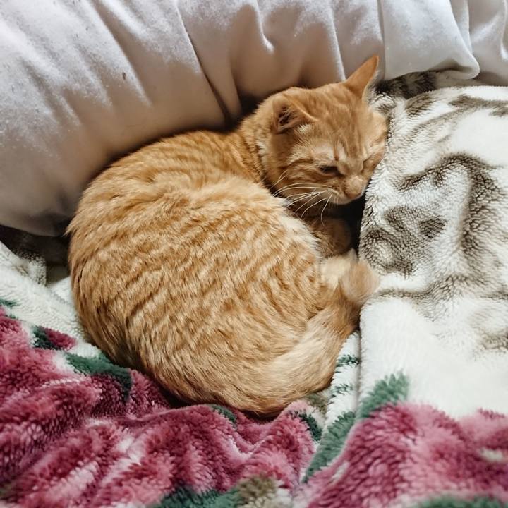 B6da7689 0906 4887 8bd8 3583706d7ea5 1639486552136