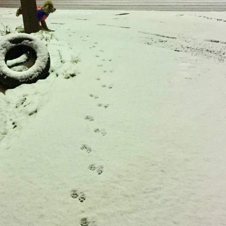 B6daa962 3e04 4f8e 93ef 7cc4ed7bc295 1549892682917