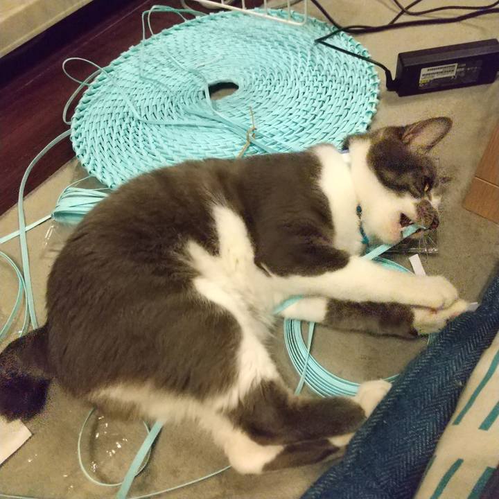 B6dab647 7553 400b a856 5793be0fc88d 1619998934290