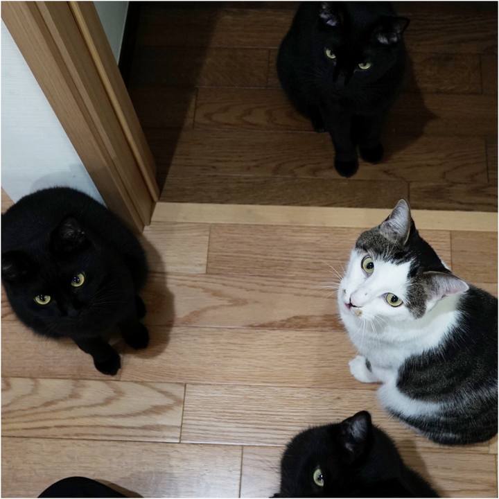 B6dabd21 3ce1 4d5c 9a75 bcccfa739263 1564616982262