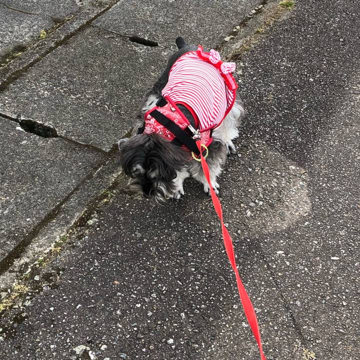 B6dac069 ed49 4a86 b761 da46511dec48 1588998081514