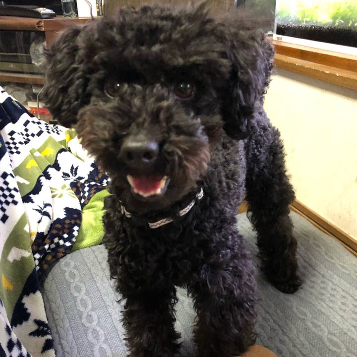 B6dacb13 26e4 46ab bab5 25a4e22793ae 1518602063752