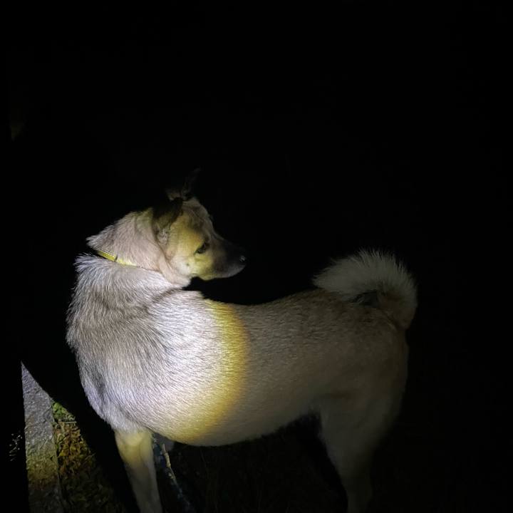 B6dacc71 cd64 4f48 a1b5 dd93bb6344d8 1640261837243