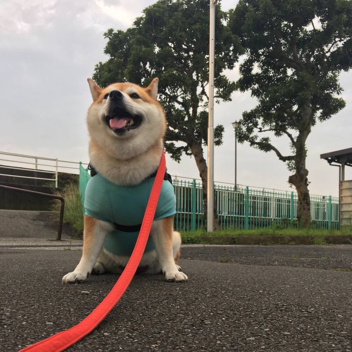 B6dae089 81b3 43dc b5c3 5a649d6f866e 1594719746611