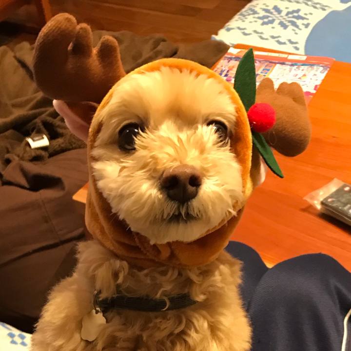 B6db02cc eb07 48db 9fac 5ed965a40a9f 1545610391655