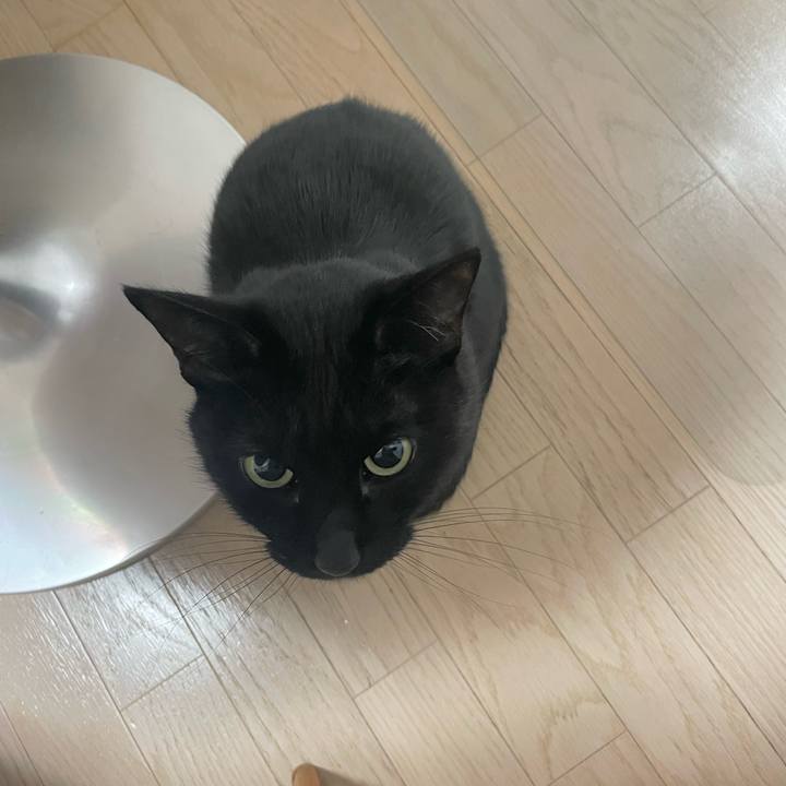 B6db0786 9c92 4e15 913d 945351086de5 1640619150838