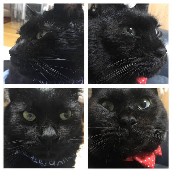 B6db08c1 dc17 4df7 ada6 59e635a4cabb 1547291741358