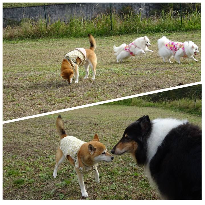 B6db1f88 0247 4eb7 8426 3ebc54acafd0 1572879192185