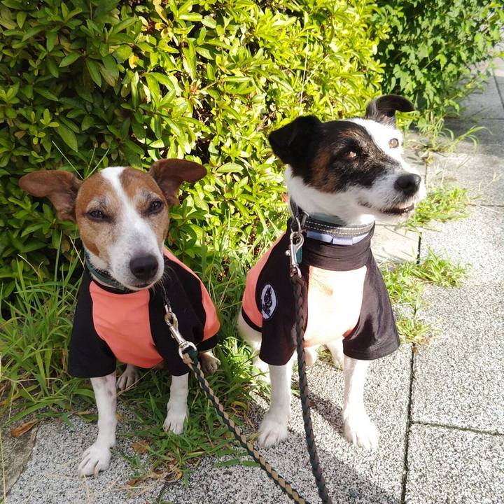 B6db237f 1211 4bf0 9b63 5cc82599bba9 1754603508887