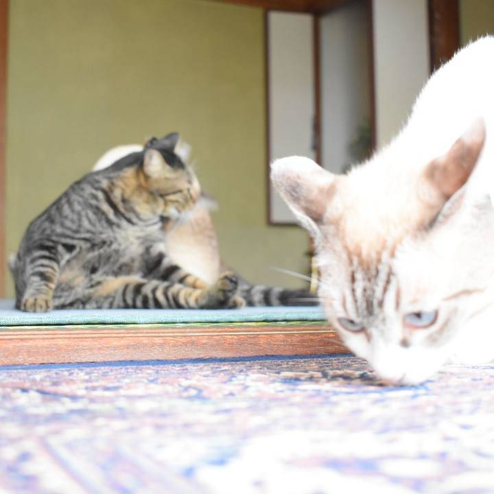 B6db67d7 ab57 4d85 87ff b3fa09f177c2 1535076397831