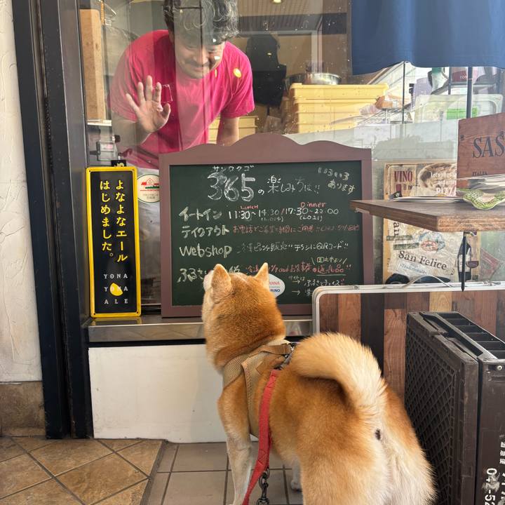 B6dba561 1c6f 4350 9ddc 2dbb5727e362 1735606717694