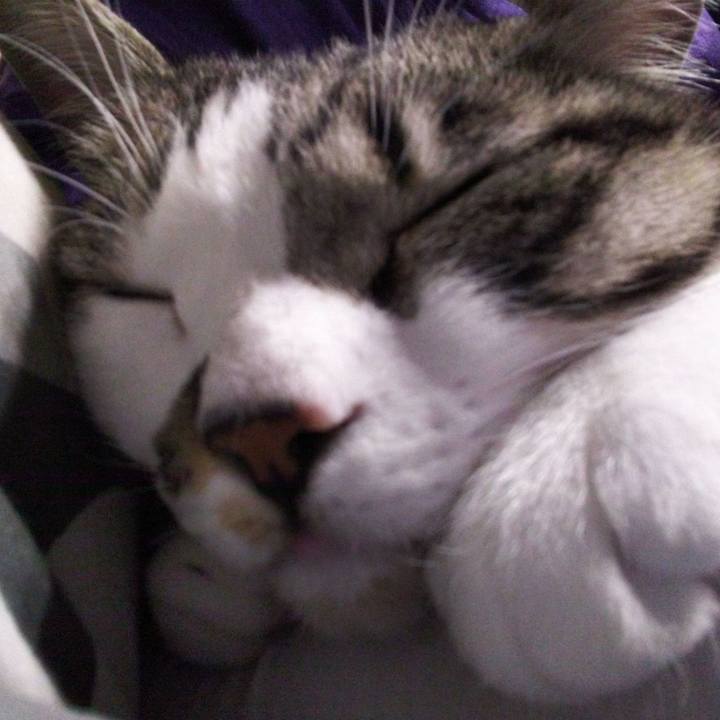 B6dbadc7 9672 468e 9869 1c4ff35cd83d 1647077391922