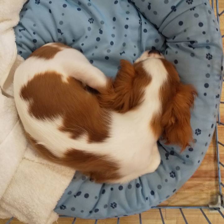 B6dbd25a 3f88 472f 940d 8e261cd87532 1567951354589