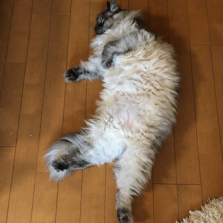 B6dc4502 f7f5 4988 bb89 27cd670ff5ee 1552785512765