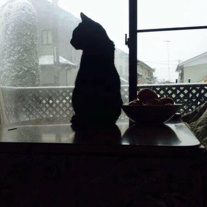 B6dc5a7b 86fb 4220 b96a 88e00ef4dc56 1513699195838