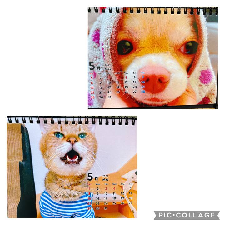 B6dc9a1a 5012 4e53 875e 70af598a6413 1651408976407