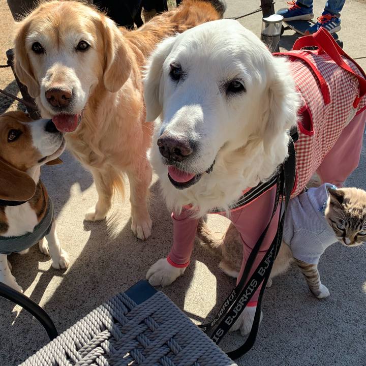 B6dca24a d5ac 4c21 a409 bee7ce17c83d 1611991968251