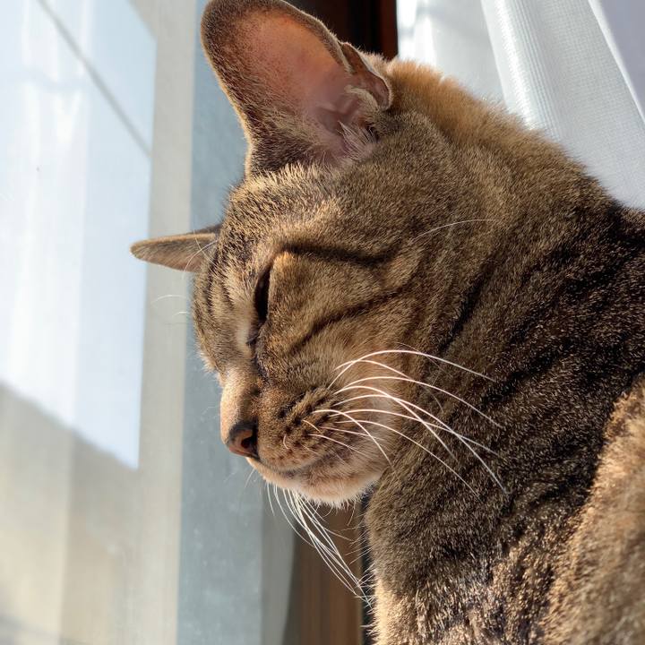 B6dcb429 7c22 4ad6 b461 28df0b108ad1 1550884078757