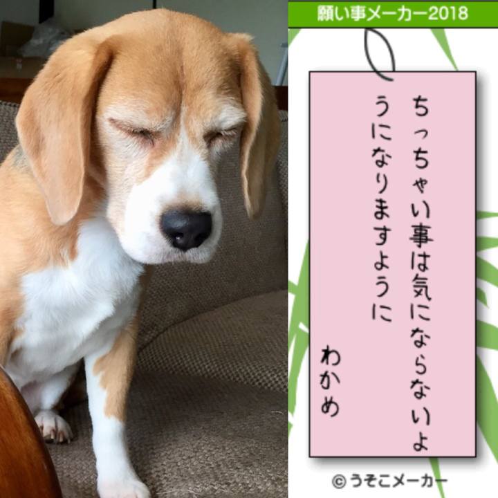 B6dcd640 a919 4f93 8da5 8c3e820a30ca 1530946024326