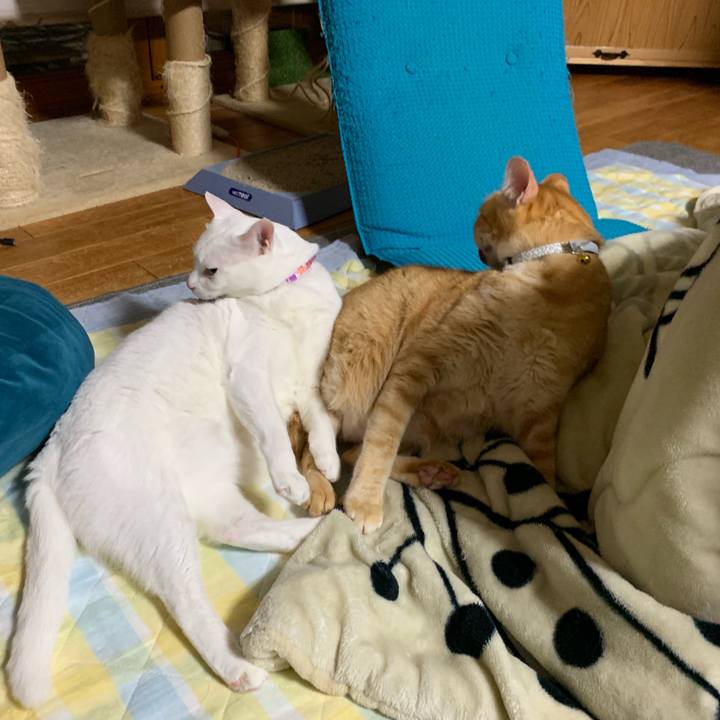 B6dd00a2 670d 4360 bc04 cd85dca66874 1557412888479