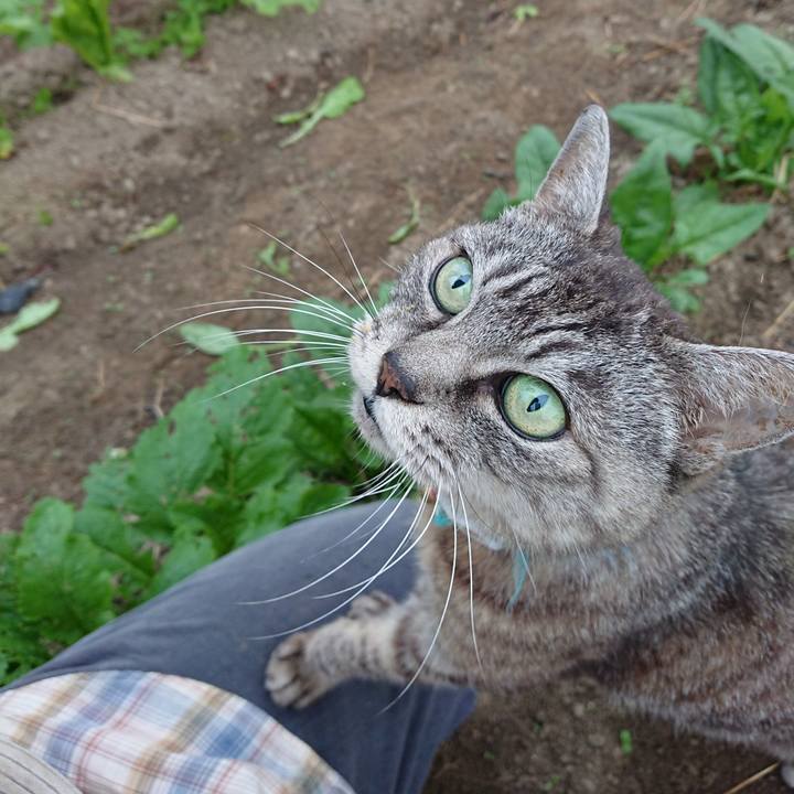 B6dd16aa f64f 4ed7 bbff 1e07f57e840a 1569708500134