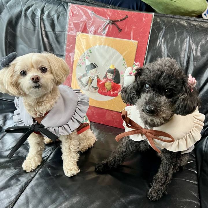 B6dd49fb b1dc 4b43 8794 2c88af8da180 1772515960777