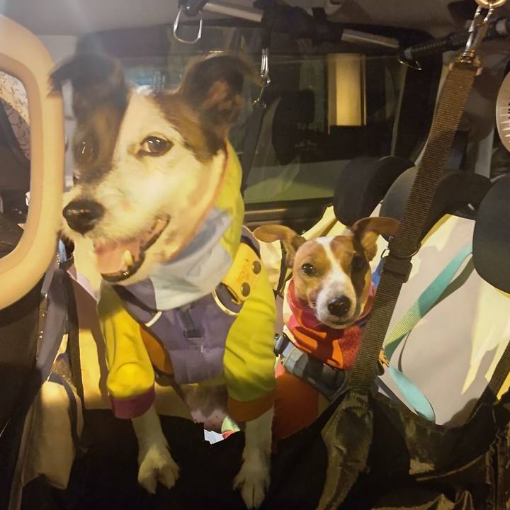 B6dd57d2 f052 4256 996b fad13910ac5a 1692016048906